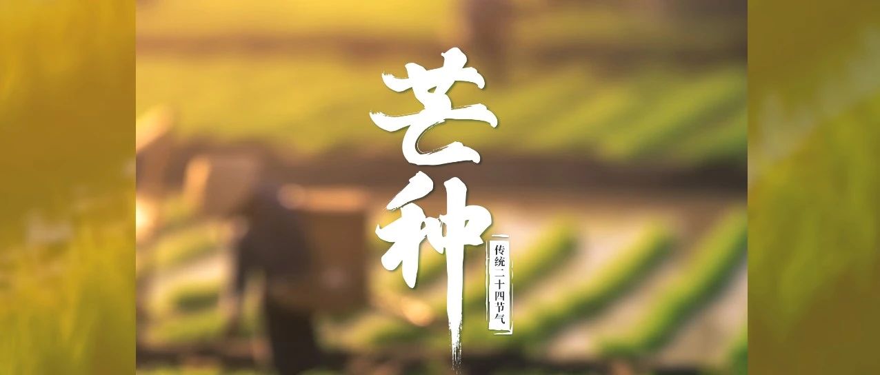 歲月不負(fù)耕耘，鐫刻美好豐碩