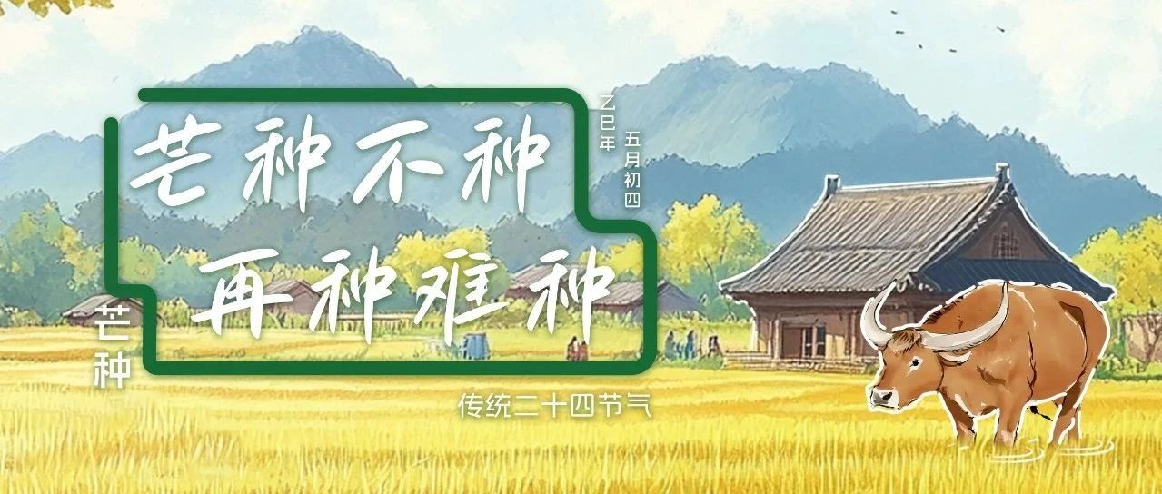 芒種不種 再種難種