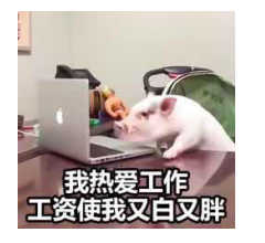 鵬博十二時辰之營運部篇