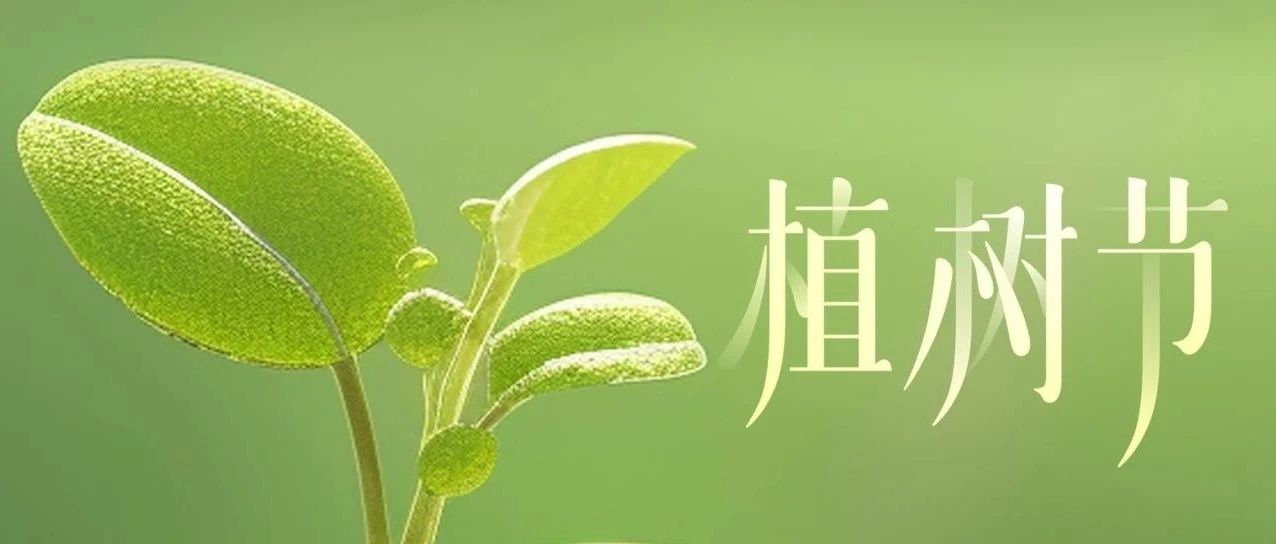 鵬博資訊 | 播散春意 煥發(fā)新生