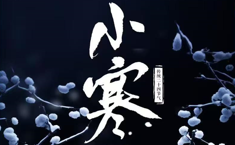 小寒料峭 一番春意換年芳