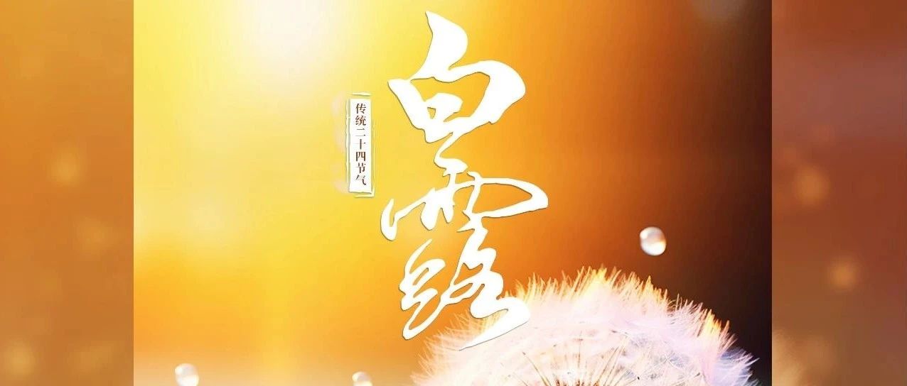 初秋染白露 美好待心歸