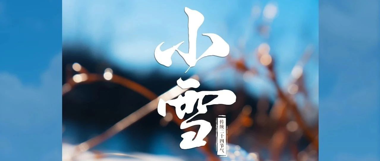 當冬天有了顏色 萬物亦懂得留白