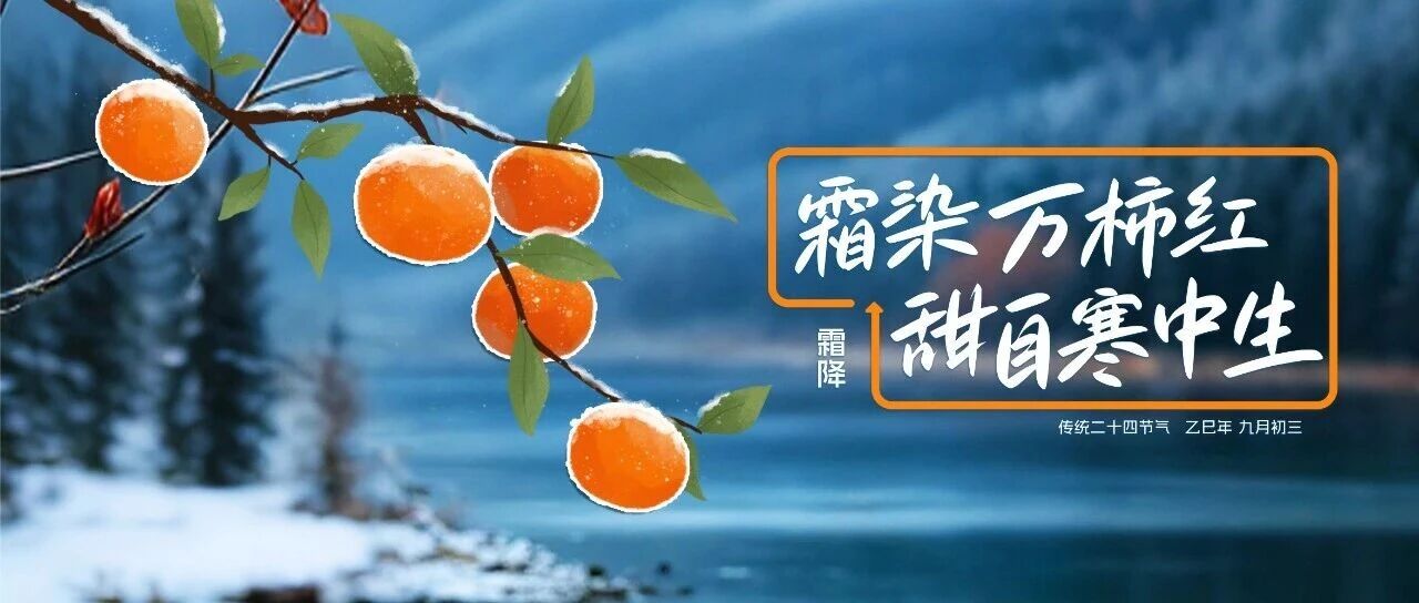 霜降|霜色已至，正是掛霜成金的季節(jié)