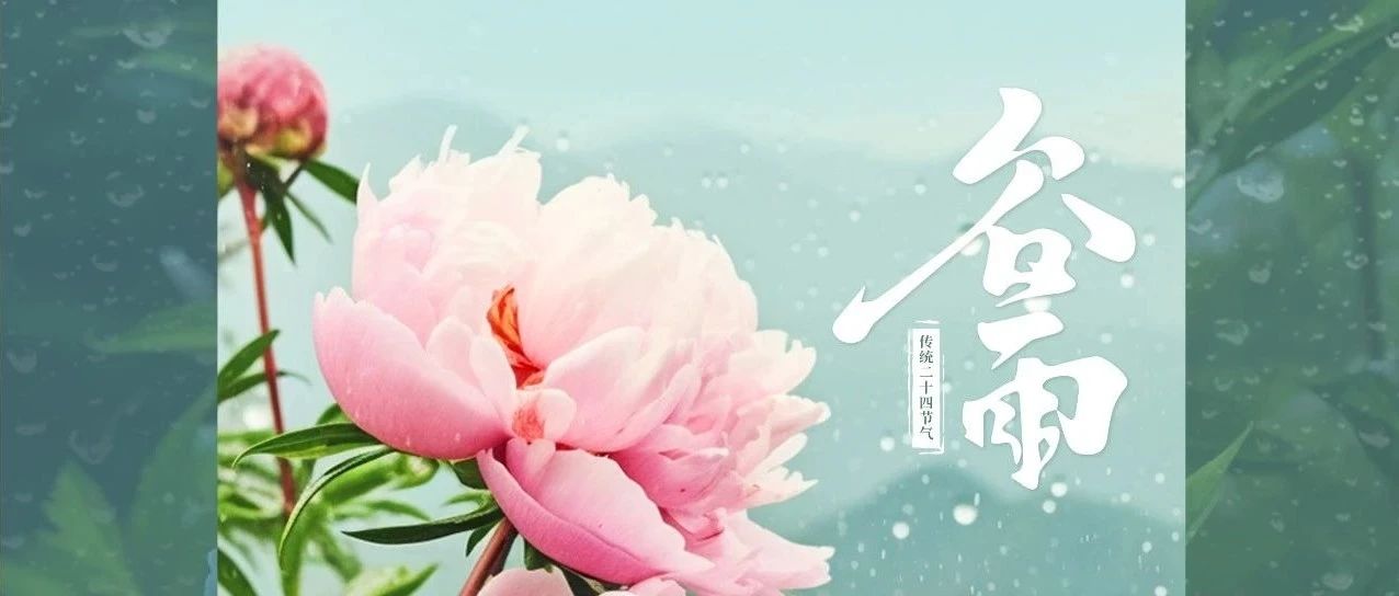 谷雨潤澤天地 美好不期而遇