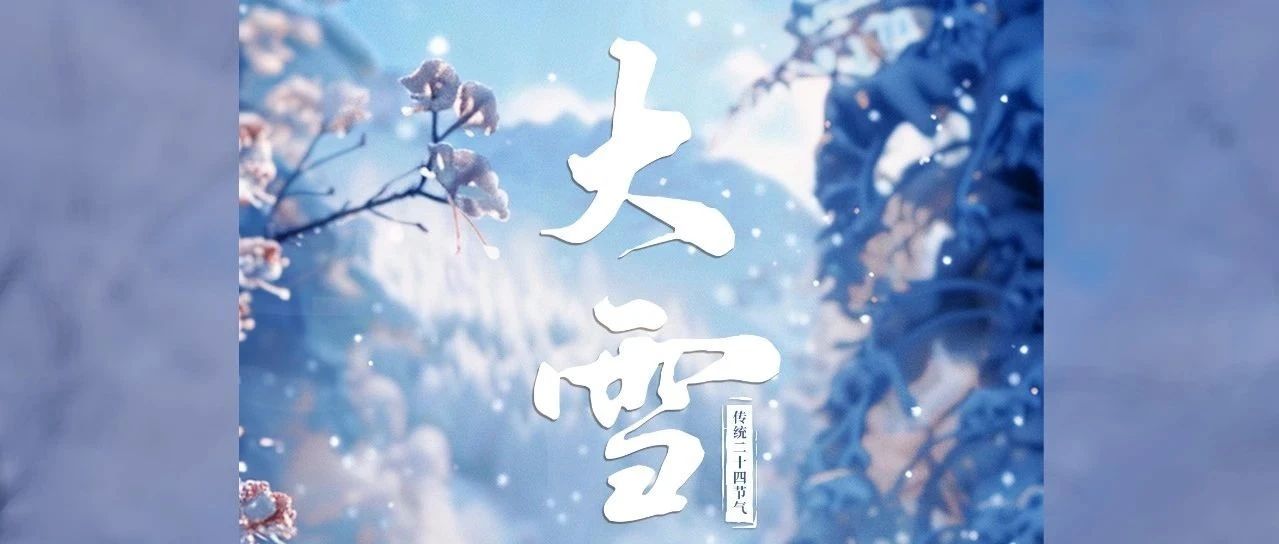 寒中有別韻 雪自映光華