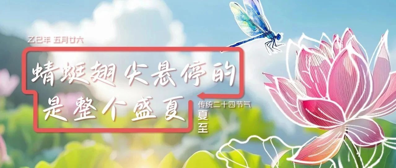 蜻蜒翅尖懸停的是整個(gè)盛夏