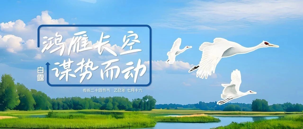 白露|站在青黃交界線，聽見豐收拔節(jié)的聲音