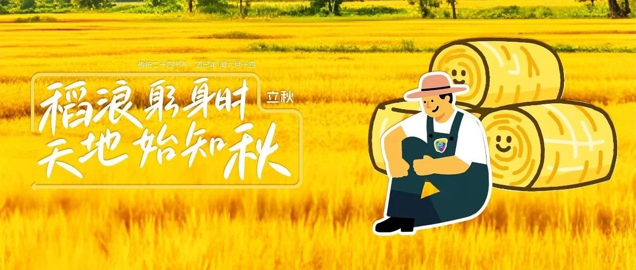 立秋|站在青黃交界線，聽見豐收拔節(jié)的聲音