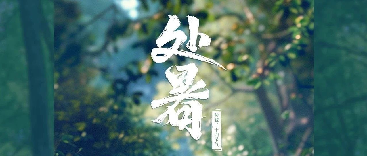 踏浪奔跑的盛夏，肆意撒歡的童年